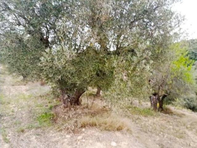 Terreno en venta en La Puebla de Castro, Ribagorza