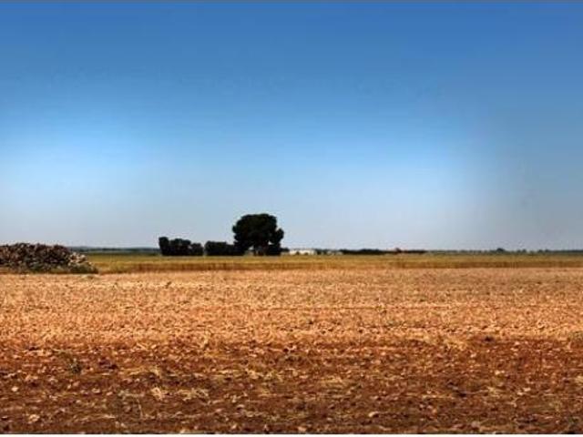 Terreno en venta en Santa Marta, La Roda