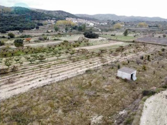 Terreno en venta en la Vall d'Alcalà, Alacant / Alicante