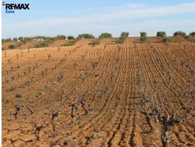 Terreno en venta en La Zarza, Badajoz