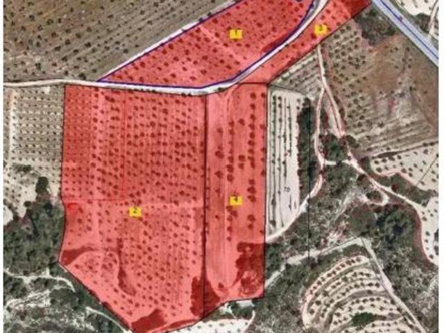 Terreno en venta en el Raval, l'Albi