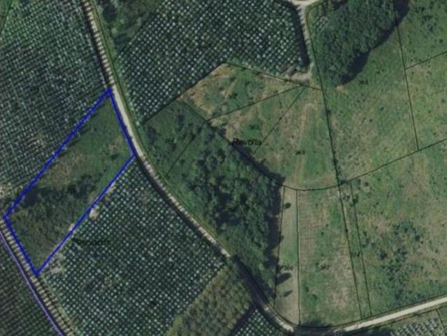Terreno en venta en Prado, Lalín