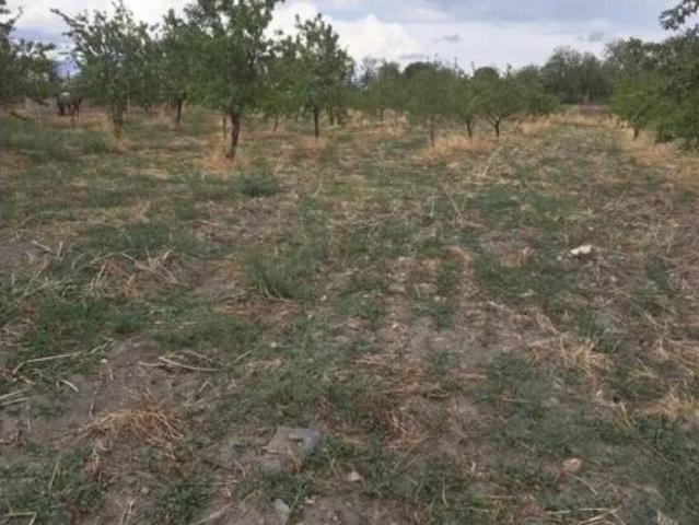 Terreno en venta en Lanteira, Granada