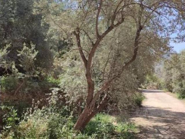 Terreno en venta en Talará, Lecrín
