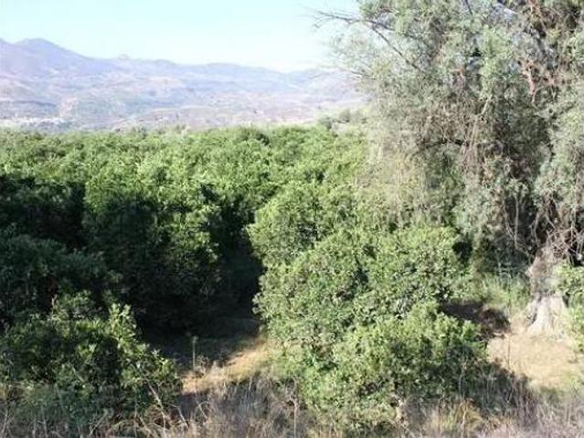 Terreno en venta en Talará, Lecrín