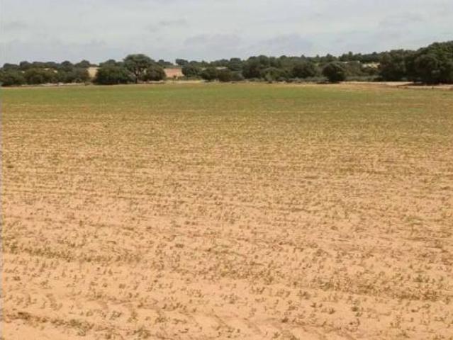 Terreno en venta en Tiriez, Lezuza