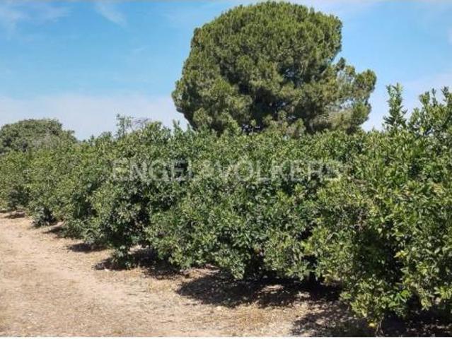 Terreno en venta en Llíria, València / Valencia