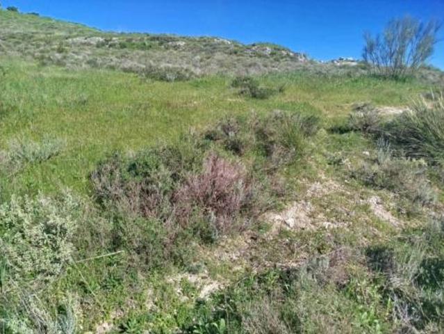 Terreno en venta en Luque, Córdoba