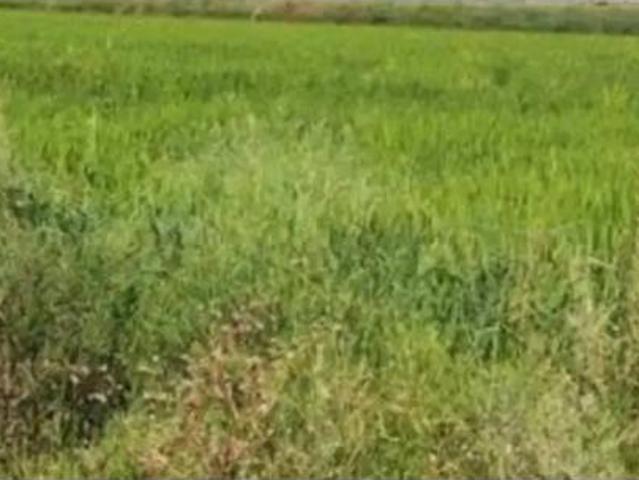 Terreno en venta en Madrigalejo del Monte, Burgos