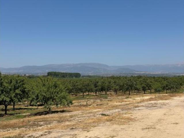 Terreno en venta en Majadas, Cáceres