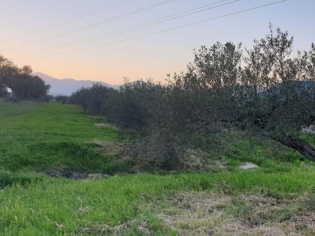 Terreno en venta en Alhaurín El Grande, Barrio de San Antón