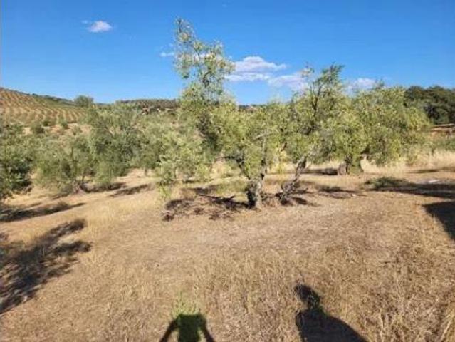 Terreno en venta en Malcocinado, Badajoz