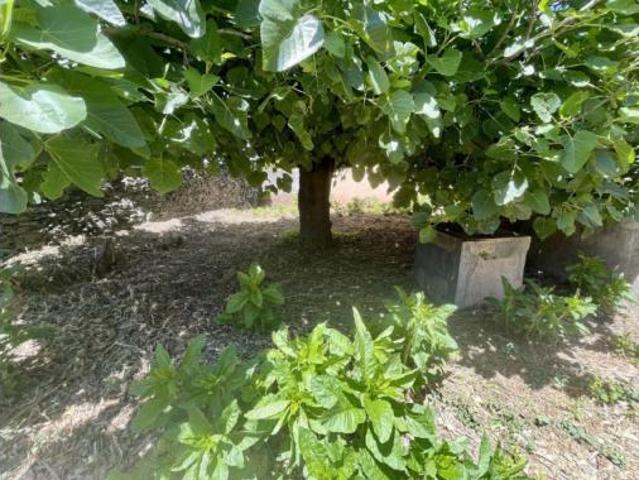 Terreno en venta en Malpartida de Plasencia, Cáceres