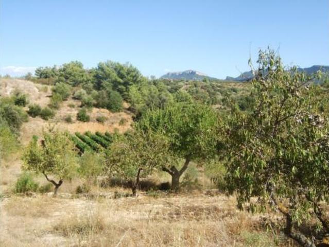 Terreno en venta en Marçà, Tarragona