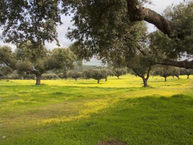 Terreno en venta en Martín de Yeltes, Salamanca