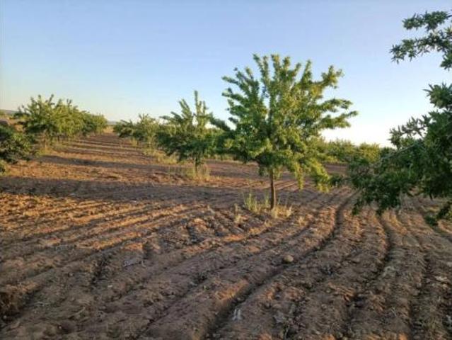 Terreno en venta en Mascaraque, Toledo
