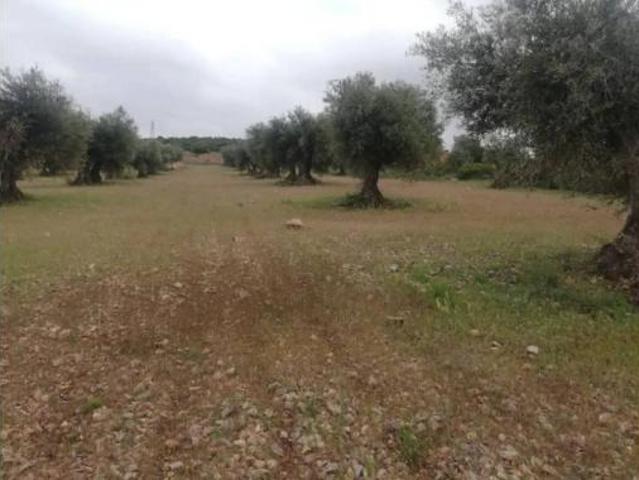 Terreno en venta en Mascaraque, Toledo