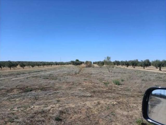 Terreno en venta en Mascaraque, Toledo