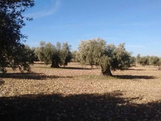 Terreno en venta en Mascaraque, Toledo