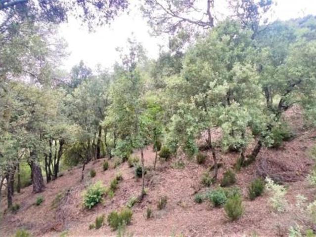 Terreno en venta en les Pedritxes, Matadepera
