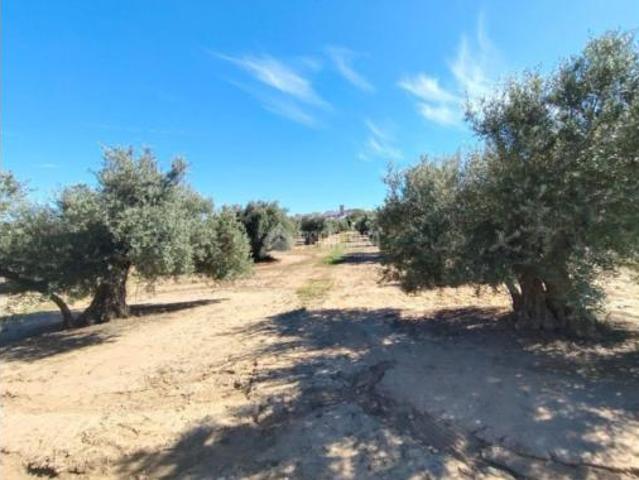 Terreno en venta en Mengíbar, Jaén