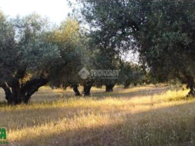 Terreno en venta en Cerro Alto, Méntrida