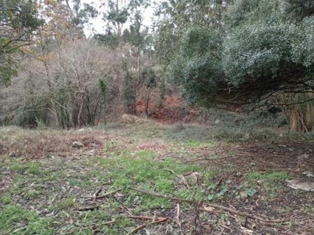 Terreno en venta en Miengo, Cantabria