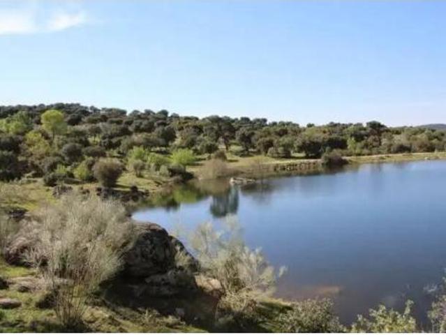 Terreno en venta en Monesterio, Badajoz