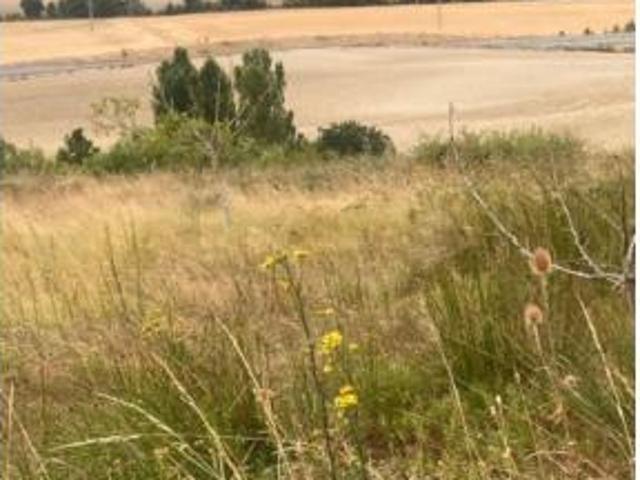 Terreno en venta en Monte Gorostiz, Monreal / Elo