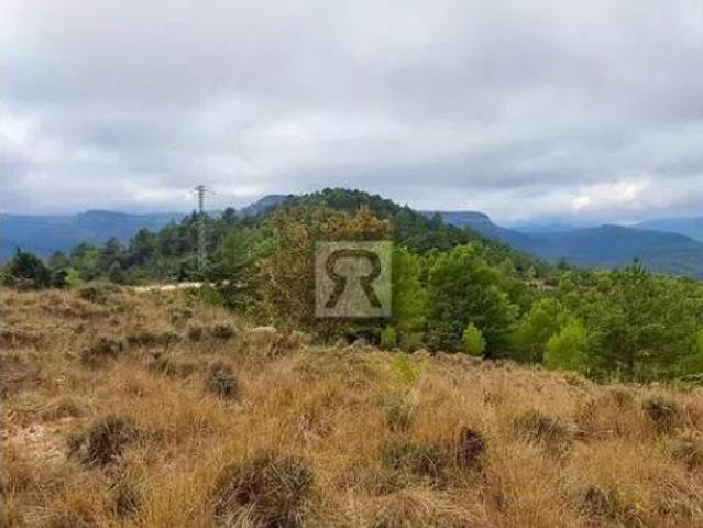 Terreno en venta en Mont-ral, Tarragona
