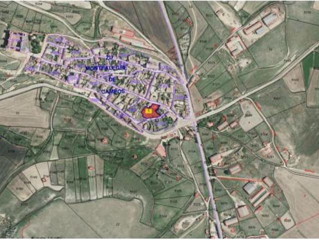 Terreno en venta en Montealegre de Campos, Valladolid