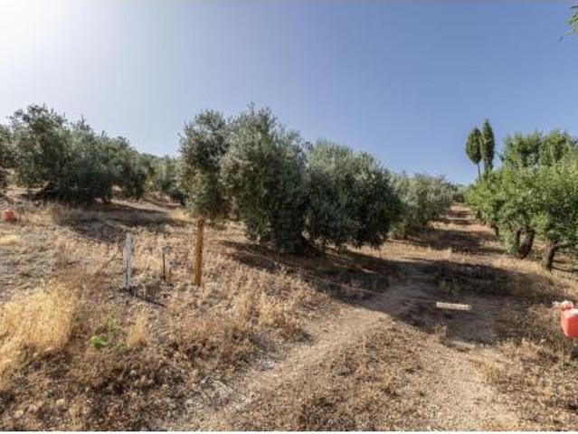 Terreno en venta en Montefrío, Granada