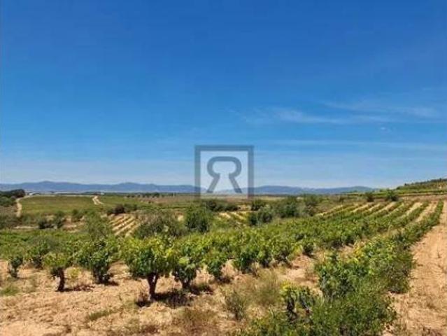 Terreno en venta en l'Alzineta, Montferri