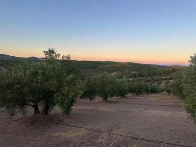 Terreno en venta en Montizón, Jaén