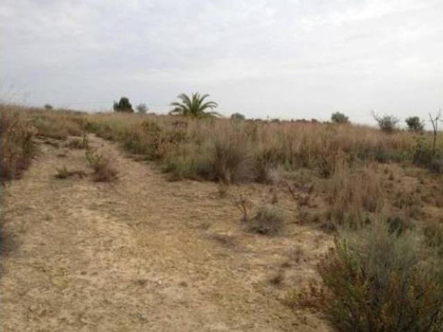 Terreno en venta en Montroi / Montroy, València / Valencia