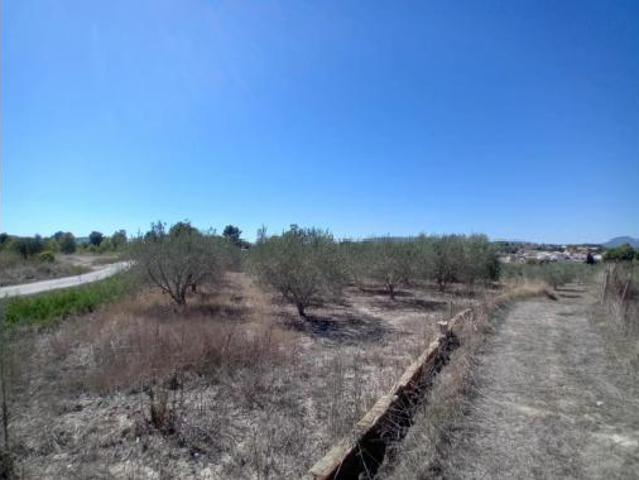 Terreno en venta en Montserrat, València / Valencia