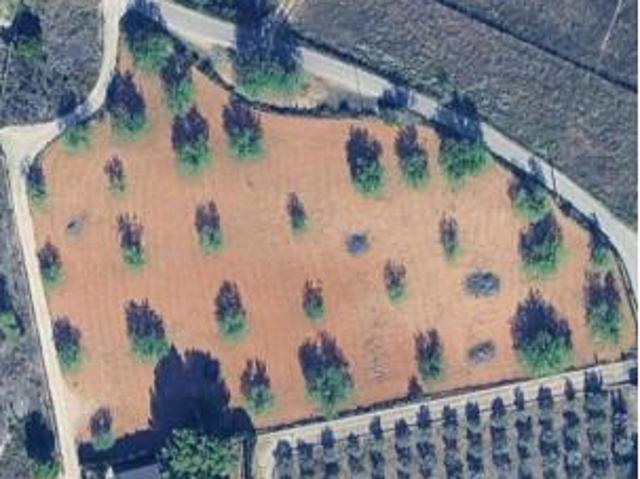 Terreno en venta en Montserrat, València / Valencia