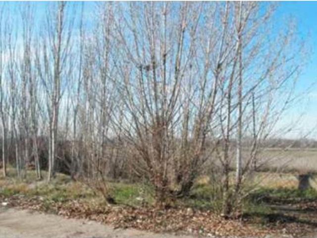 Terreno en venta en Barrio de la Azucarera, Monzón de Campos