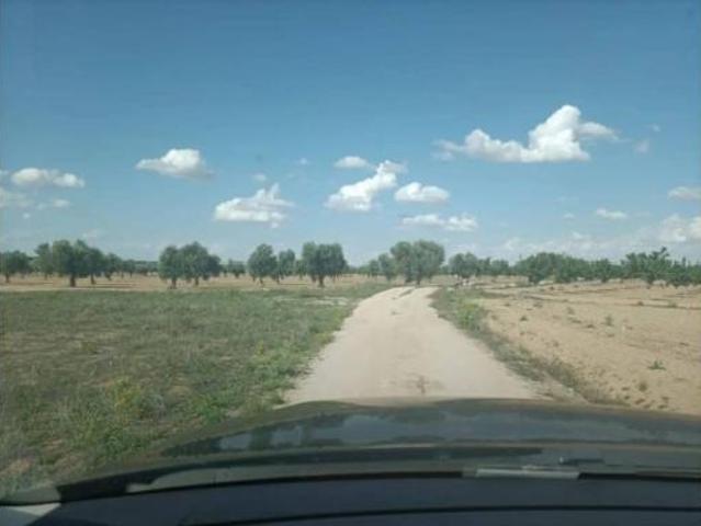 Terreno en venta en Mora, Toledo