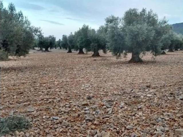 Terreno en venta en Mora, Toledo