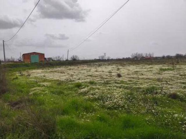 Terreno en venta en Moraleja, Cáceres