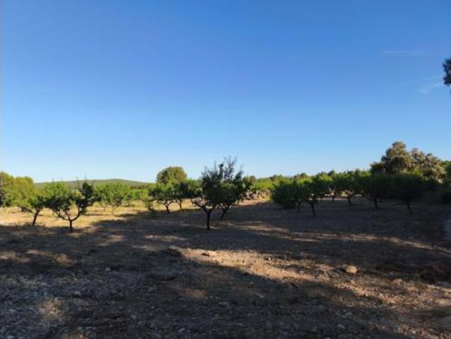 Terreno en venta en Moratalla, Región de Murcia