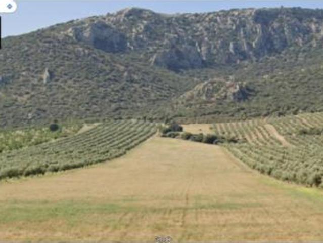 Terreno en venta en Morelábor, Granada