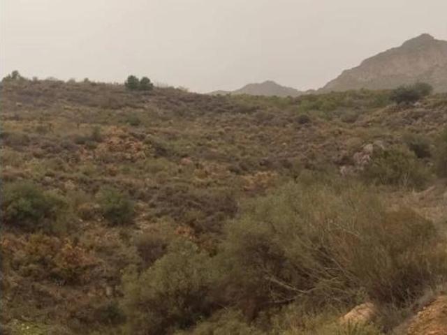 Terreno en venta en Motril, Granada