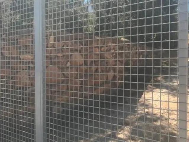 Terreno en venta en Motril, Granada