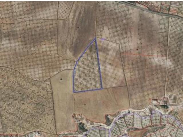 Terreno en venta en Mula, Región de Murcia