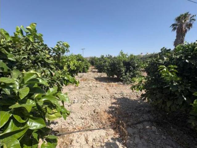 Terreno en venta en Mula, Región de Murcia