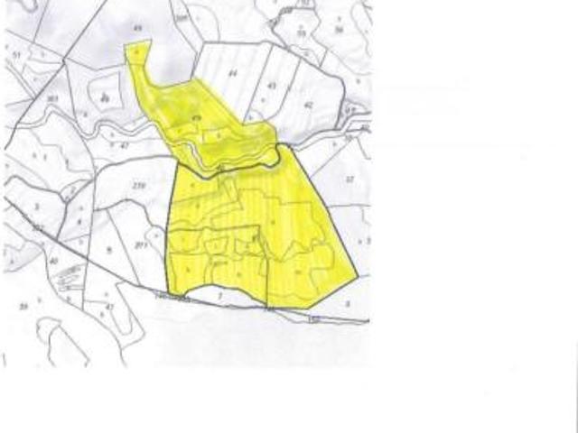 Terreno en venta en Los Ojos, Mula