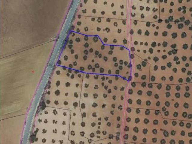 Terreno en venta en Munera, Albacete
