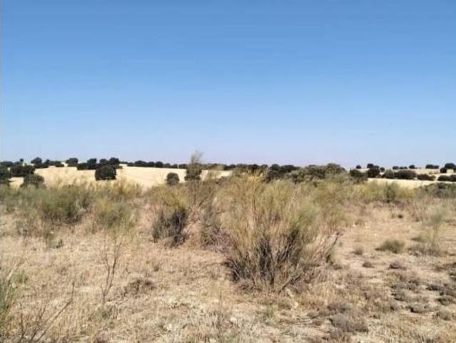 Terreno en venta en Villarrobledo, Albacete